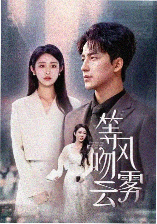 山与海的信 热播剧集免费观看